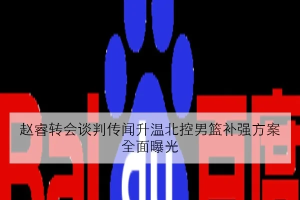 赵睿转会谈判传闻升温北控男篮补强方案全面曝光